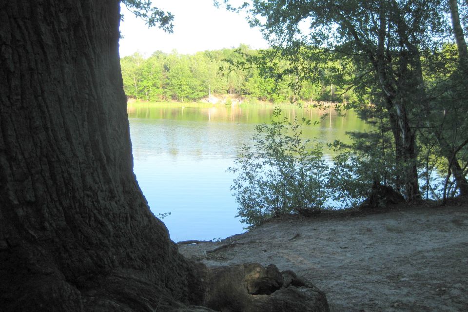 Startseite Schwielowsee Tourismus